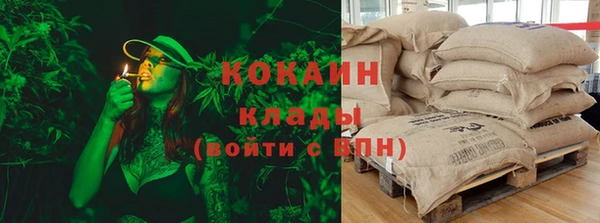 стаф Арсеньев