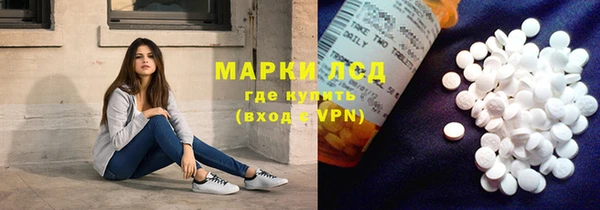 стаф Арсеньев