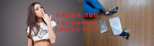 стаф Арсеньев