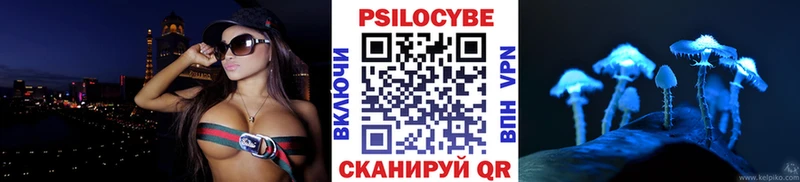 Псилоцибиновые грибы прущие грибы  Купить  Петропавловск-Камчатский 